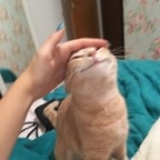 Download adlai OnlyFans videos and photos for free 

 profile picture