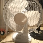 Download ale_onlyfans OnlyFans videos and photos for free 

 profile picture