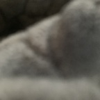 alkibeach87 OnlyFans Leaks 

 profile picture