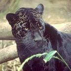 andre (Andre) free OnlyFans Leaked Pictures and Videos 

 profile picture