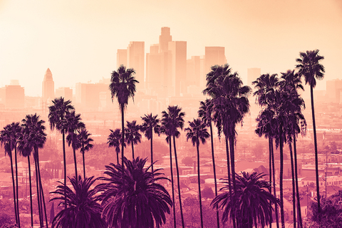 Header of annachase