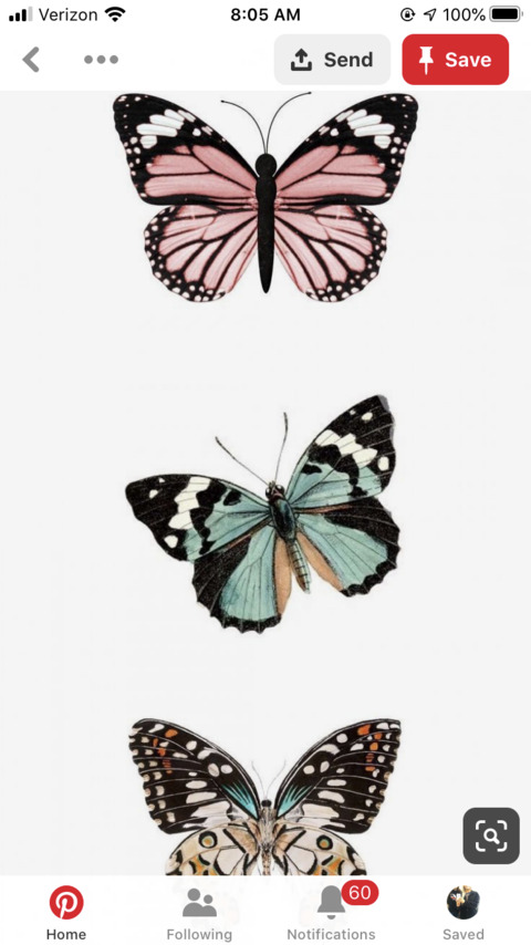 Header of annieholt