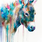 apricotdonkey OnlyFans Leaked 

 profile picture
