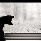 arbenita OnlyFans Leaked 

 profile picture