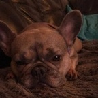 ash_985 (Ash) free OnlyFans Leaked Videos and Pictures 

 profile picture