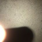 asianspade (Asianspade) free OnlyFans content 

 profile picture