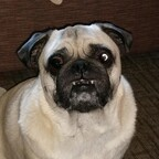 Astro (astro) Leaked OnlyFans 

 profile picture