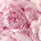 baby-me (Baby_Me) OnlyFans Leaks 

 profile picture