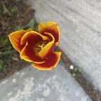 Download babydoll360 OnlyFans videos and photos for free 

 profile picture