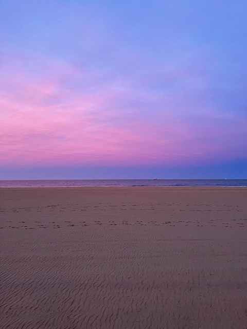 Header of beachmuscle