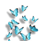 bellal OnlyFans Leak 

 profile picture