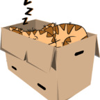 boxgirl OnlyFans Leaks 

 profile picture