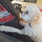 bridgey OnlyFans Leaks 

 profile picture