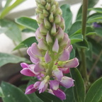 Free access to brzoskwinia Leaked OnlyFans 

 profile picture