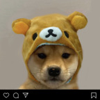 Onlyfans leaks bunniebby 

 profile picture