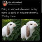 bunnybums (bunnybums) Leak OnlyFans 

 profile picture