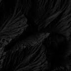 cat_damage (Dangerous Cat) OnlyFans Leaks 

 profile picture