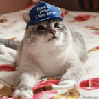 catinthebluehat (Cat) OnlyFans Leaked Videos and Pictures 

 profile picture
