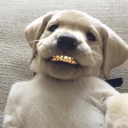 Free access to couldhavebeentheone Leak OnlyFans 

 profile picture