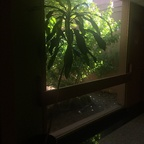 cowbells (cowbells) OnlyFans Leaked Content 

 profile picture