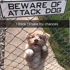 Download daddy22frost OnlyFans leaks for free 

 profile picture