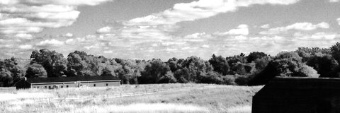 Header of dailysatan