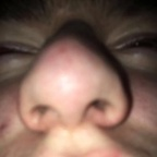 dakotafrfr OnlyFans Leaks 

 profile picture