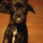 dallas OnlyFans Leaked Photos and Videos 

 profile picture