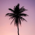 D (@dawny.love.0) Leaks OnlyFans 

 profile picture