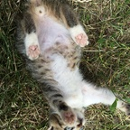 deniii OnlyFans Leaks 

 profile picture