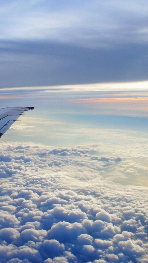 Header of dianemarie