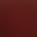 Onlyfans leak dollydolly 

 profile picture