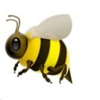 donnabee OnlyFans Leaked 

 profile picture