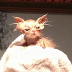 edens OnlyFans Leaked 

 profile picture