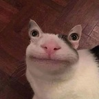 Onlyfans leak emelyxo 

 profile picture