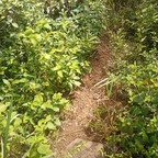 enana08 OnlyFans Leaks 

 profile picture