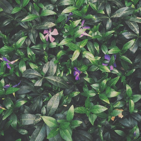 Header of enello