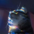 fedra (alexandra) free OnlyFans Leaked Pictures & Videos 

 profile picture