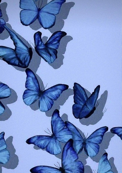 Header of ferxxaml