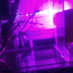 Free access to (@freak-on-a-leash) Leaked OnlyFans 

 profile picture