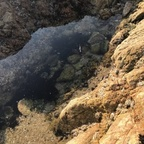 GoddessEmerald @goddessemeraldx Leaks OnlyFans 

 profile picture