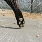 Onlyfans leaked goldroyer 

 profile picture