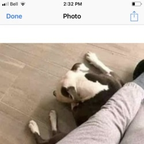 Onlyfans leak griffith 

 profile picture