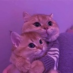 habibi01 (Baby01) free OnlyFans Leaked Content 

 profile picture