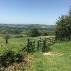 heysiri OnlyFans Leak 

 profile picture