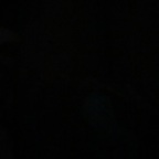 honeyysucc (Honeyy) OnlyFans Leaks 

 profile picture