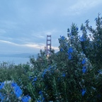 Onlyfans leaks hottielatinaa 

 profile picture