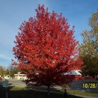 iaboy7635 OnlyFans Leaks 

 profile picture