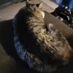 Free access to (@jayare71420) Leaks OnlyFans 

 profile picture