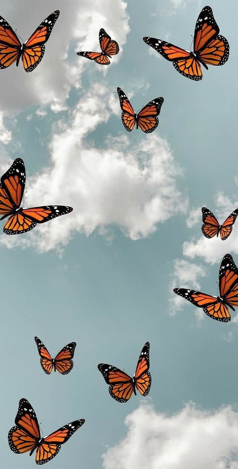 Header of jo.bfly